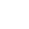phone_icon